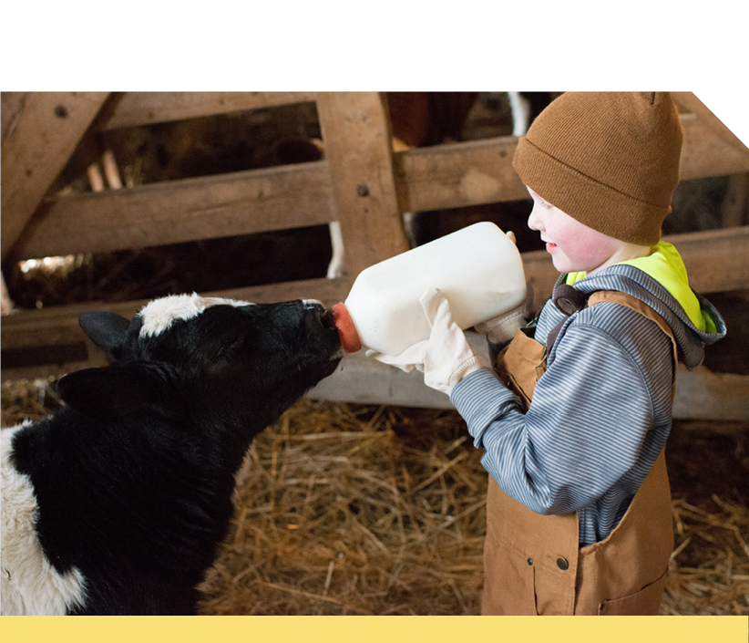 Bottle Feeders