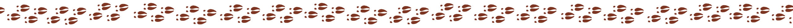 Animal Footprints Across the Page
