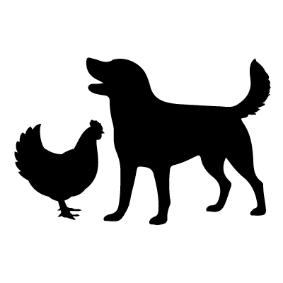 Pet & Animal