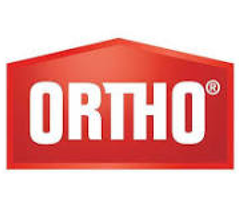 Ortho Logo