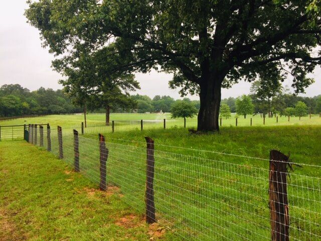 48-In x 200-Ft Max-Tight Horse Fence