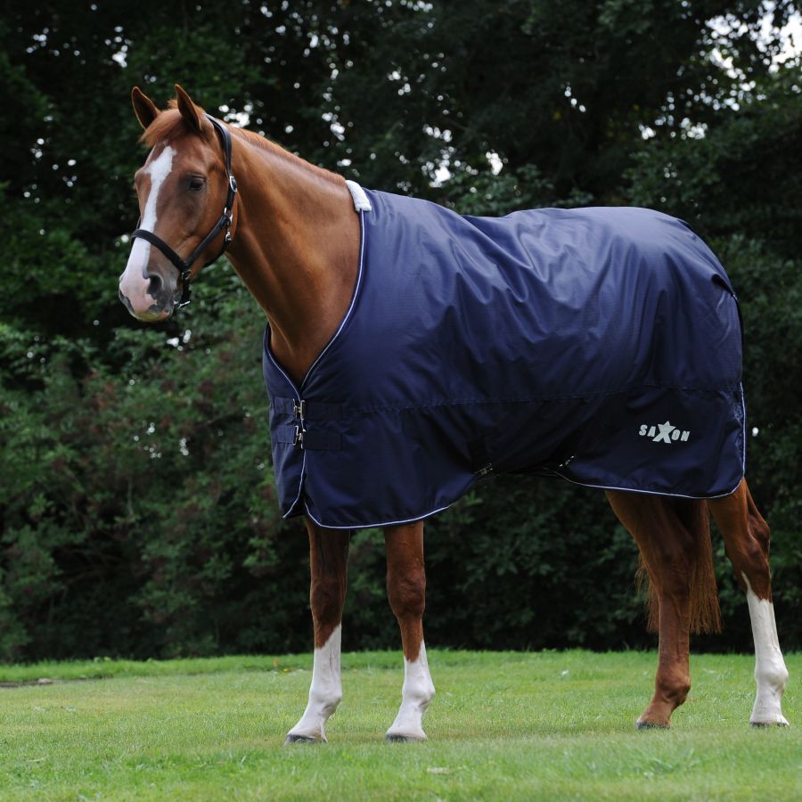 Saxon 600D Standard Neck Medium Turnout Blanket, 81-In