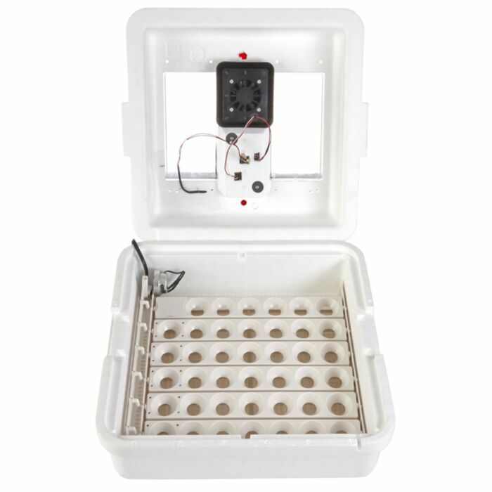 Little Giant Deluxe Incubator