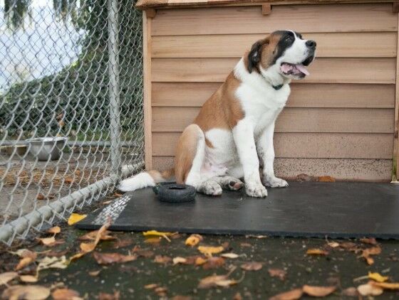 36-In X 60-In Multi-Purpose Utility Mat