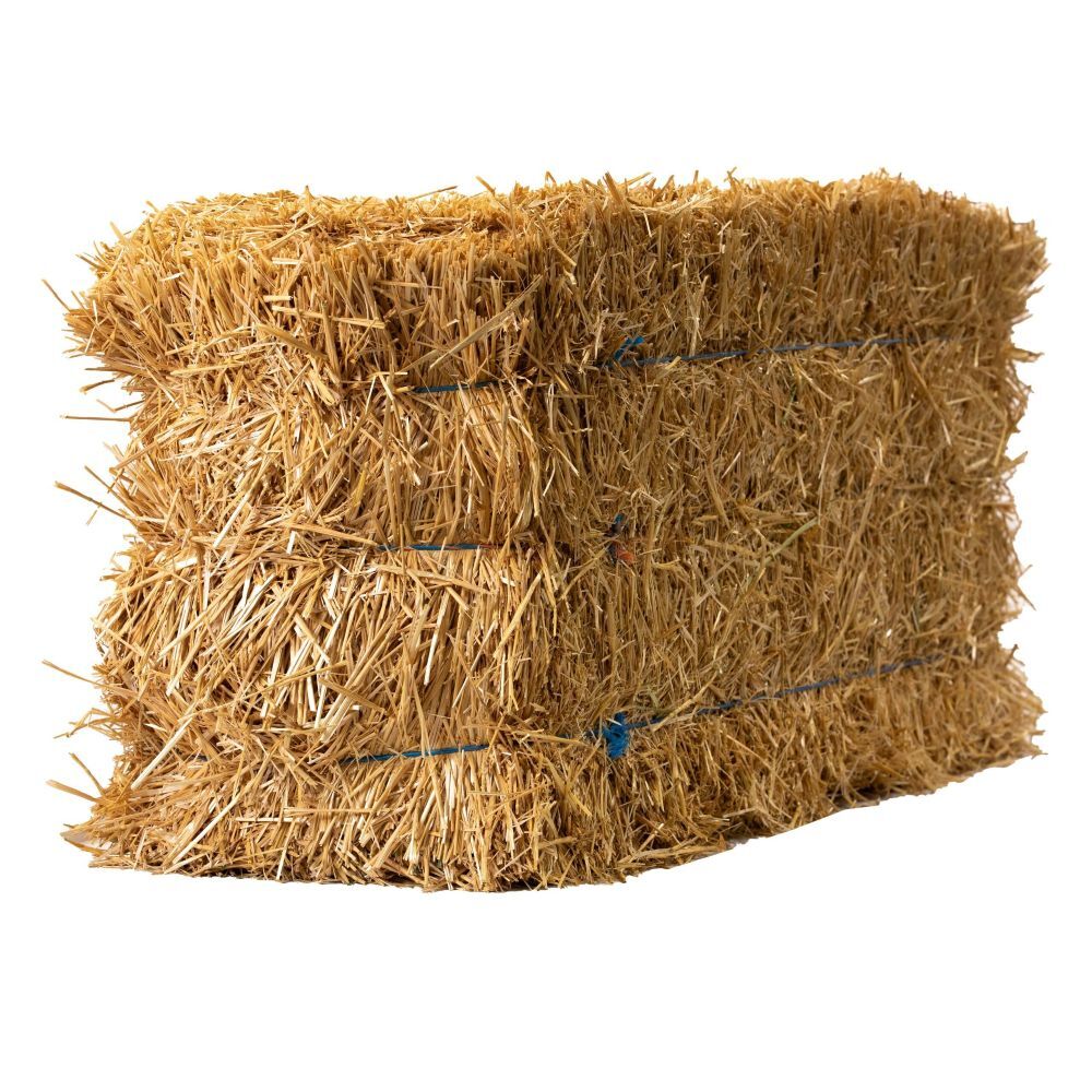 Anderson Hay 3-Tie Certified Wheat Straw Bale, 90-Lb