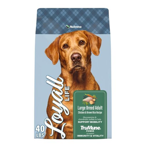 Loyall Life Large Breed Chicken & Brown Rice Recipe Adult Dog Food, 40-Lb