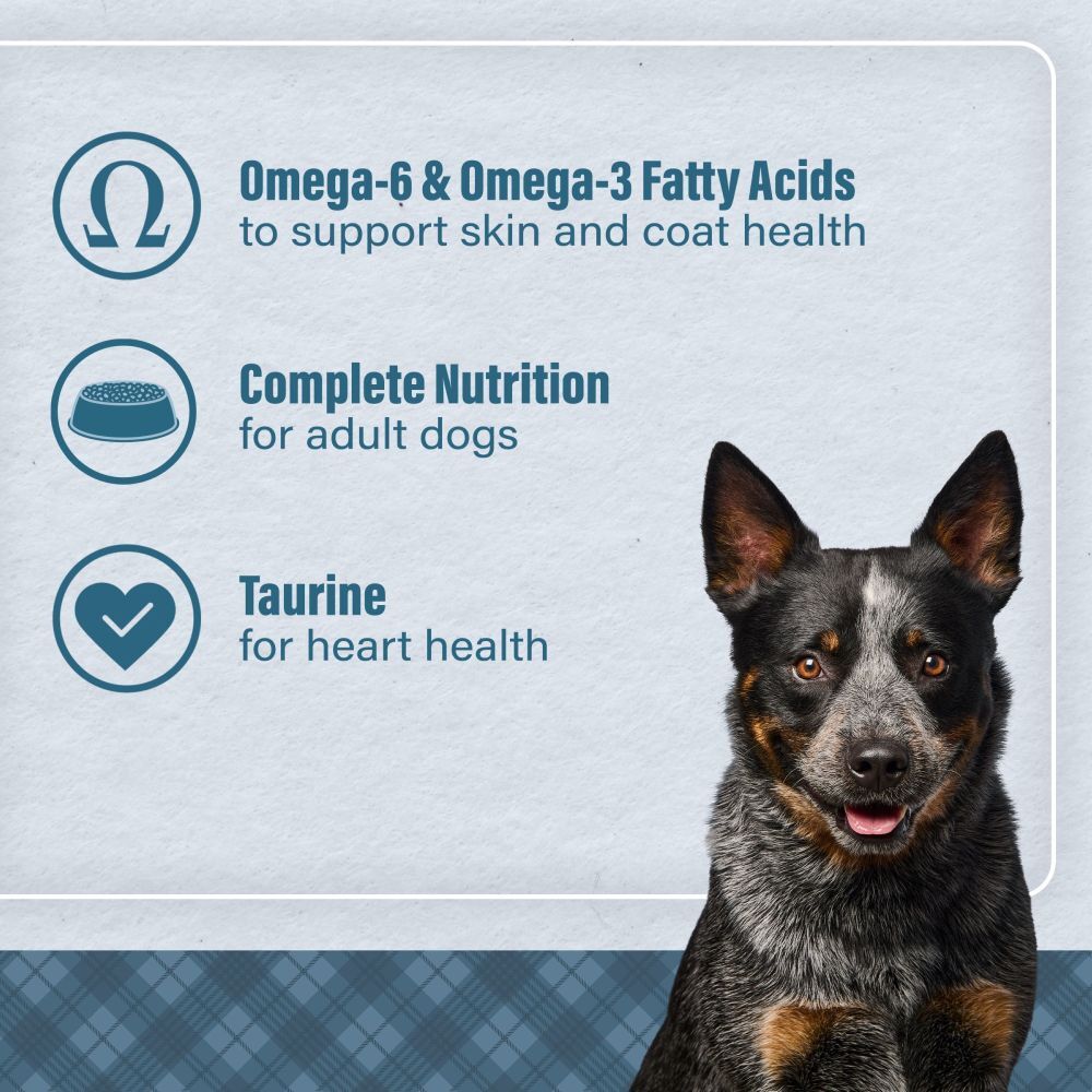 Loyall Life Lamb Meal & Brown Rice Recipe Adult Dog Food, 40-Lb