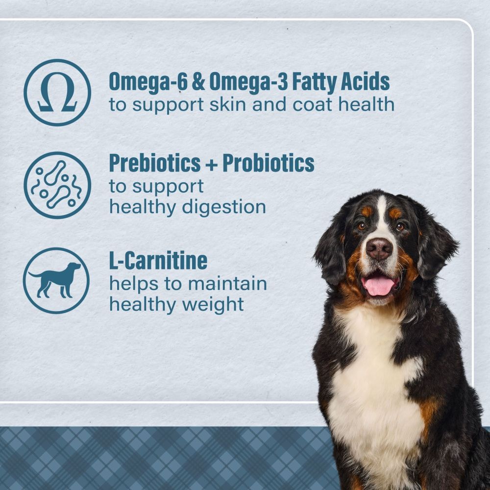 Loyall Life Large Breed Lamb Meal & Brown Rice Recipe Adult Dog Food, 40-Lb