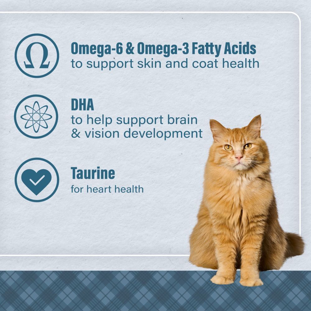 Loyall Life Cat & Kitten Chicken Recipe, 20-Lb