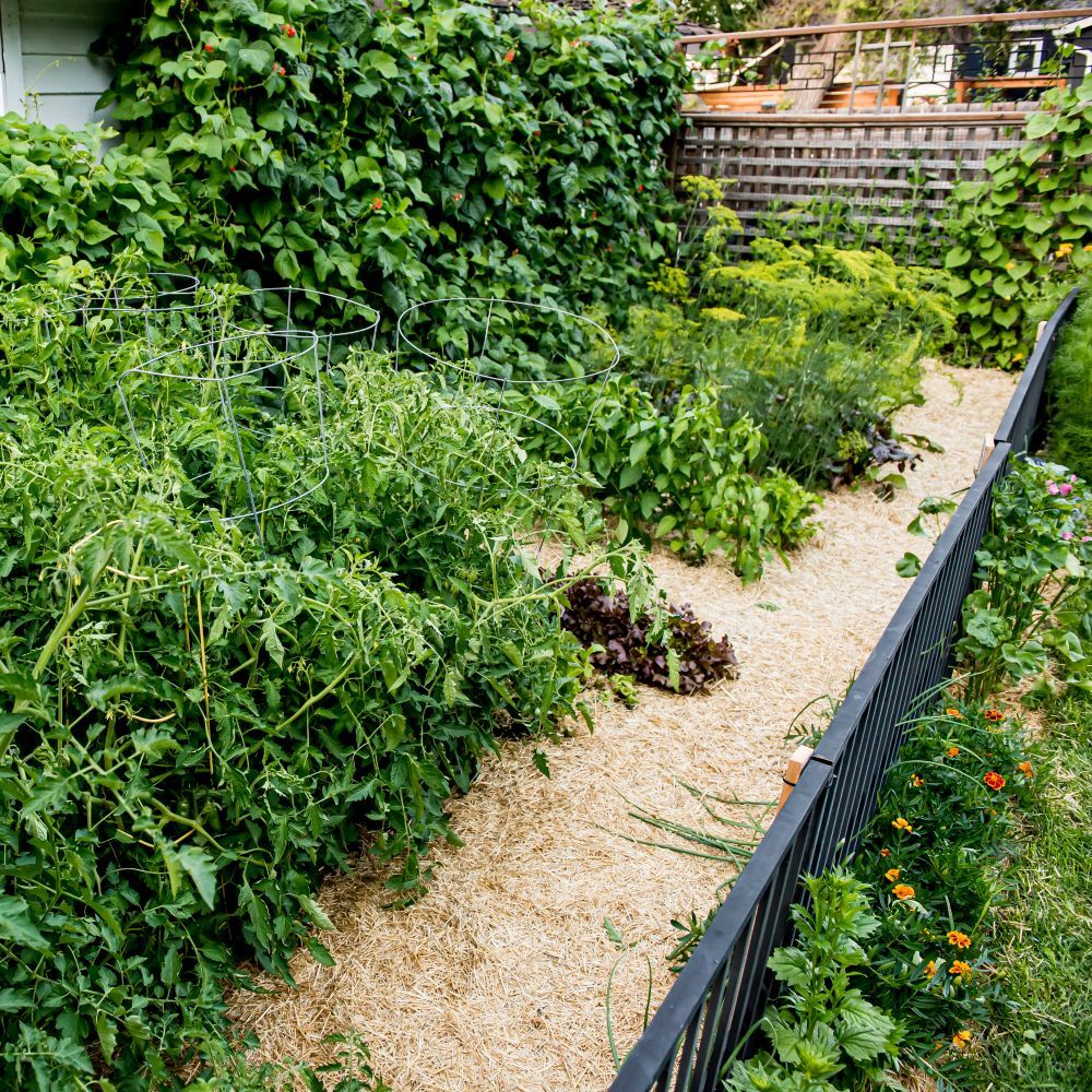 HealthiStraw GardenStraw Premium Wheat Straw Garden Mulch, 3-Cu Ft