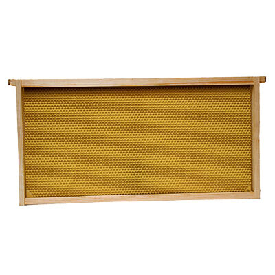 Large Bee Frame, 5-Pk