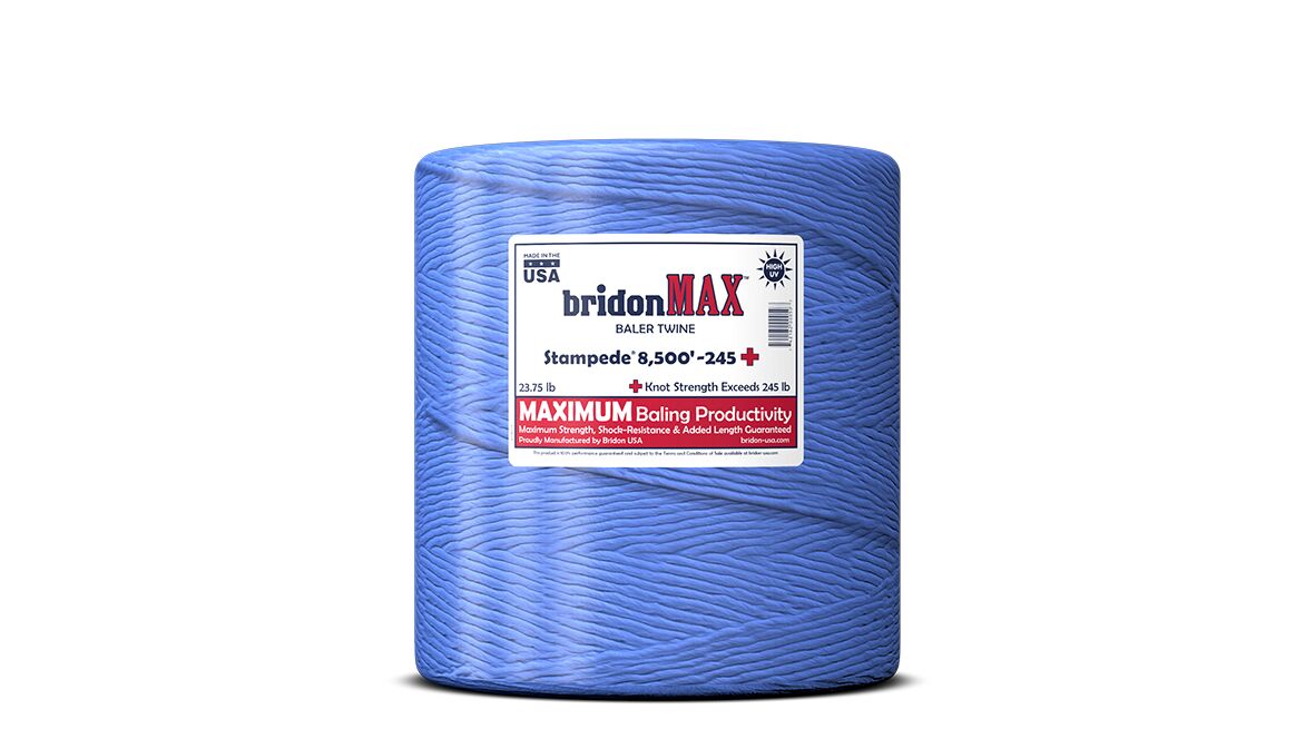 8500-Ft 245-Lb Single Ball Plastic Twine in Blue