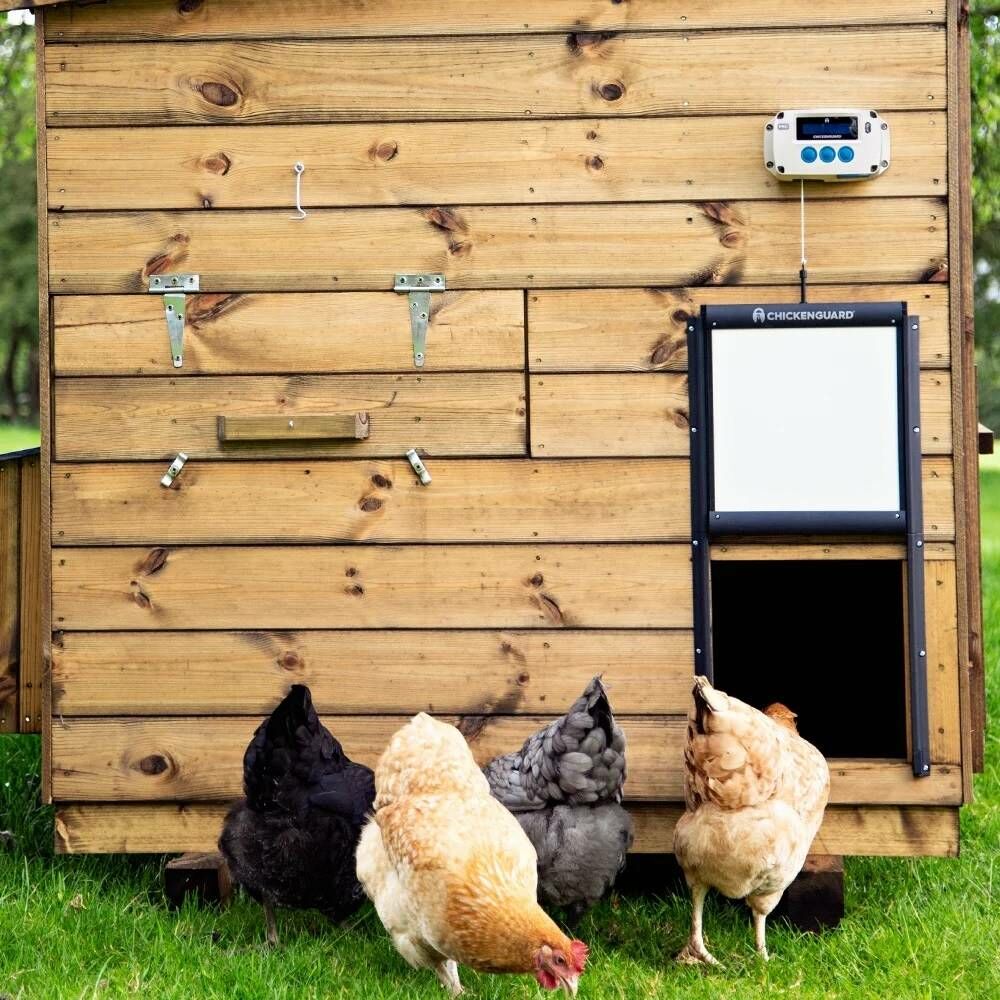 Premium Automatic Coop Door Opener & Self Locking Door