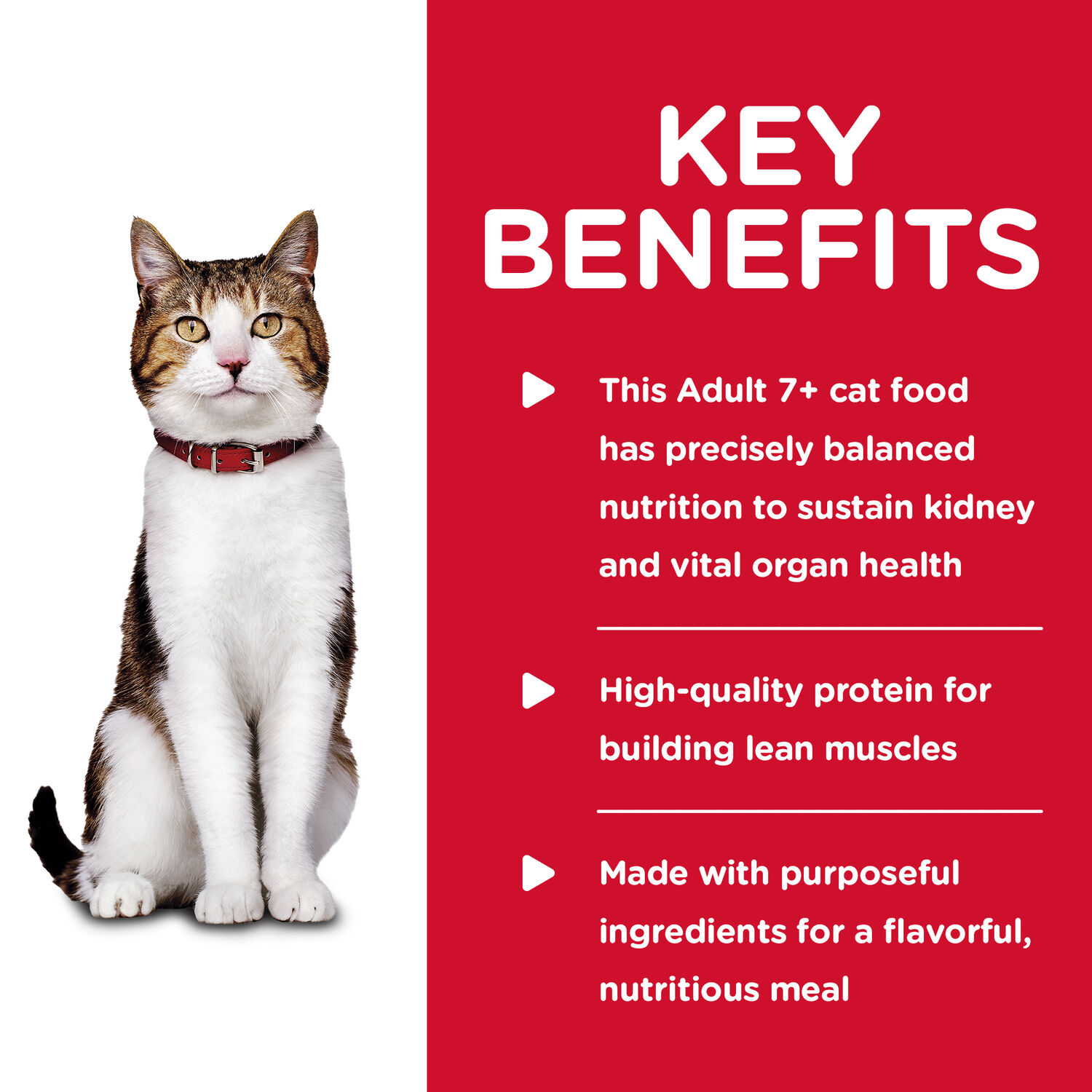 Hill's® Science Diet® Savory Turkey Entrée Senior Wet Cat Food, 5.5-Oz