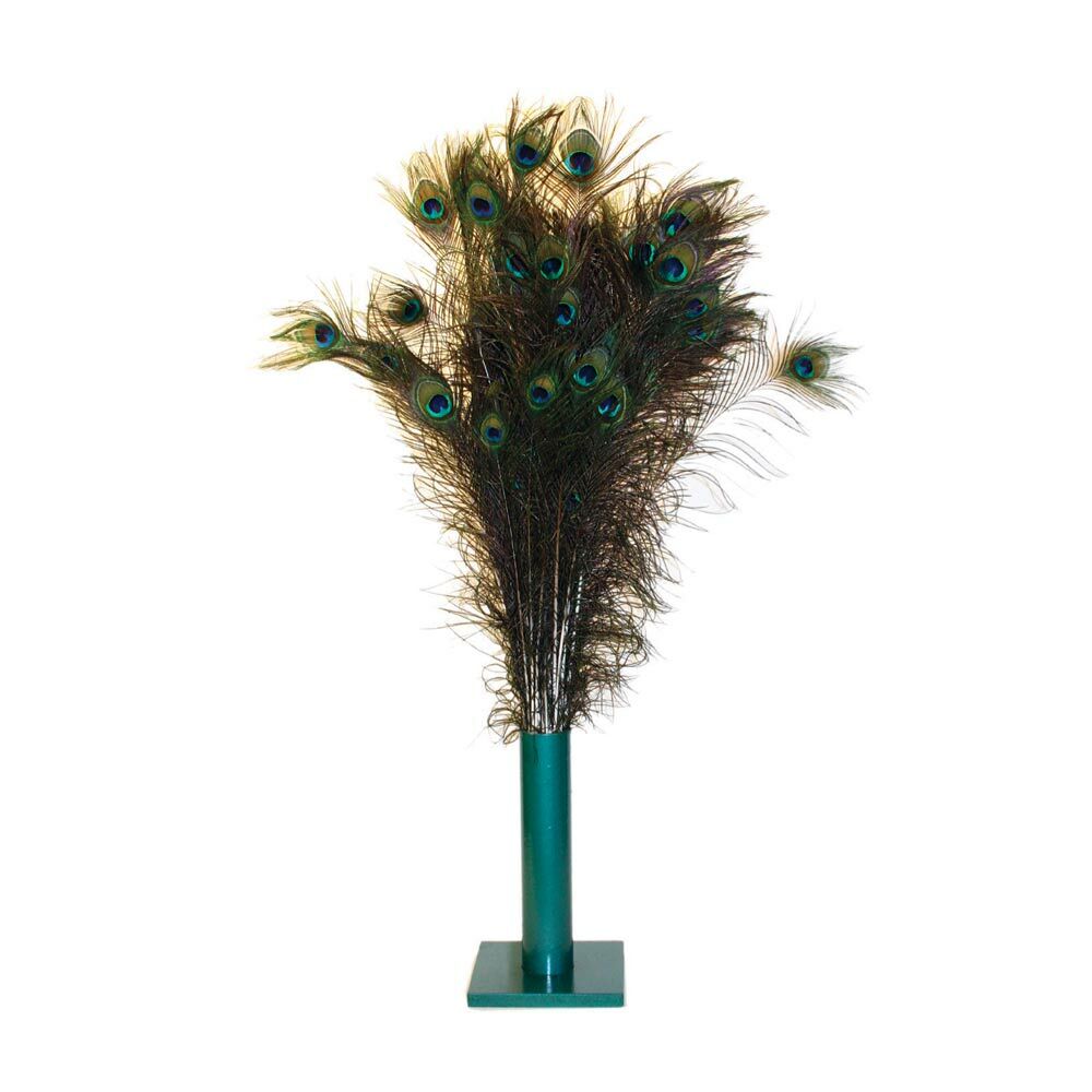 Vee Enterprises Purrfect™ Natural Peacock Feathers Cat Toy 100 Count