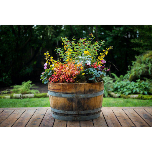 Half Oak Barrel Planter, 26-In x 18-In x 26-In
