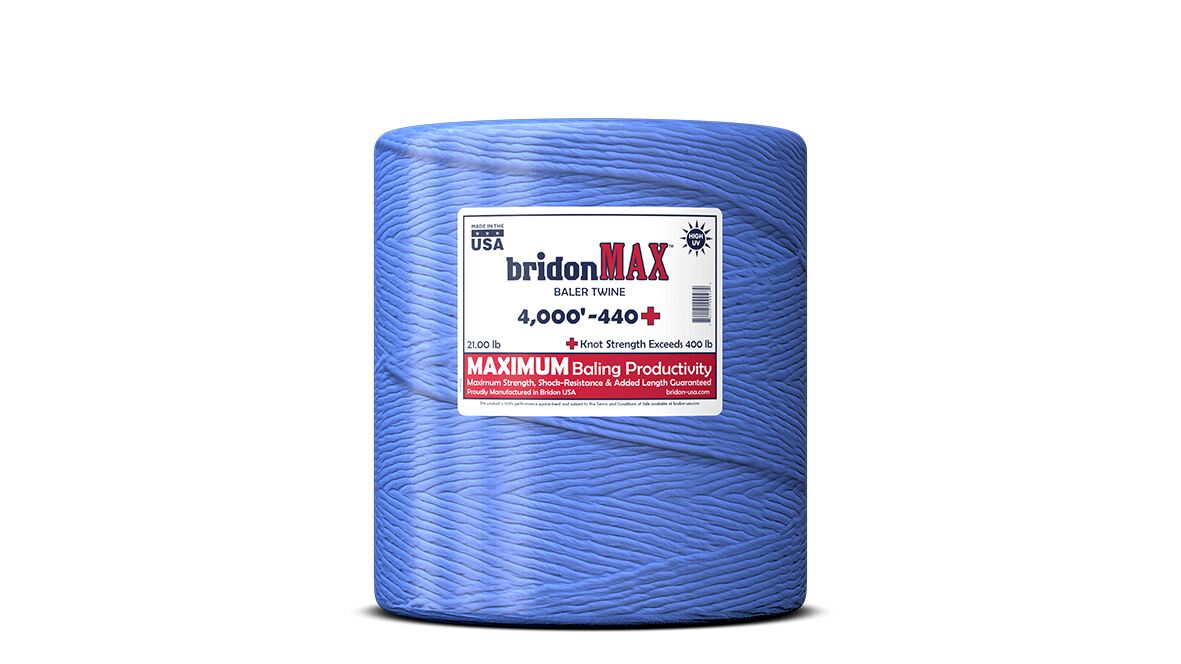 4000-Ft 440-Lb Single Ball Plastic Twine in Blue