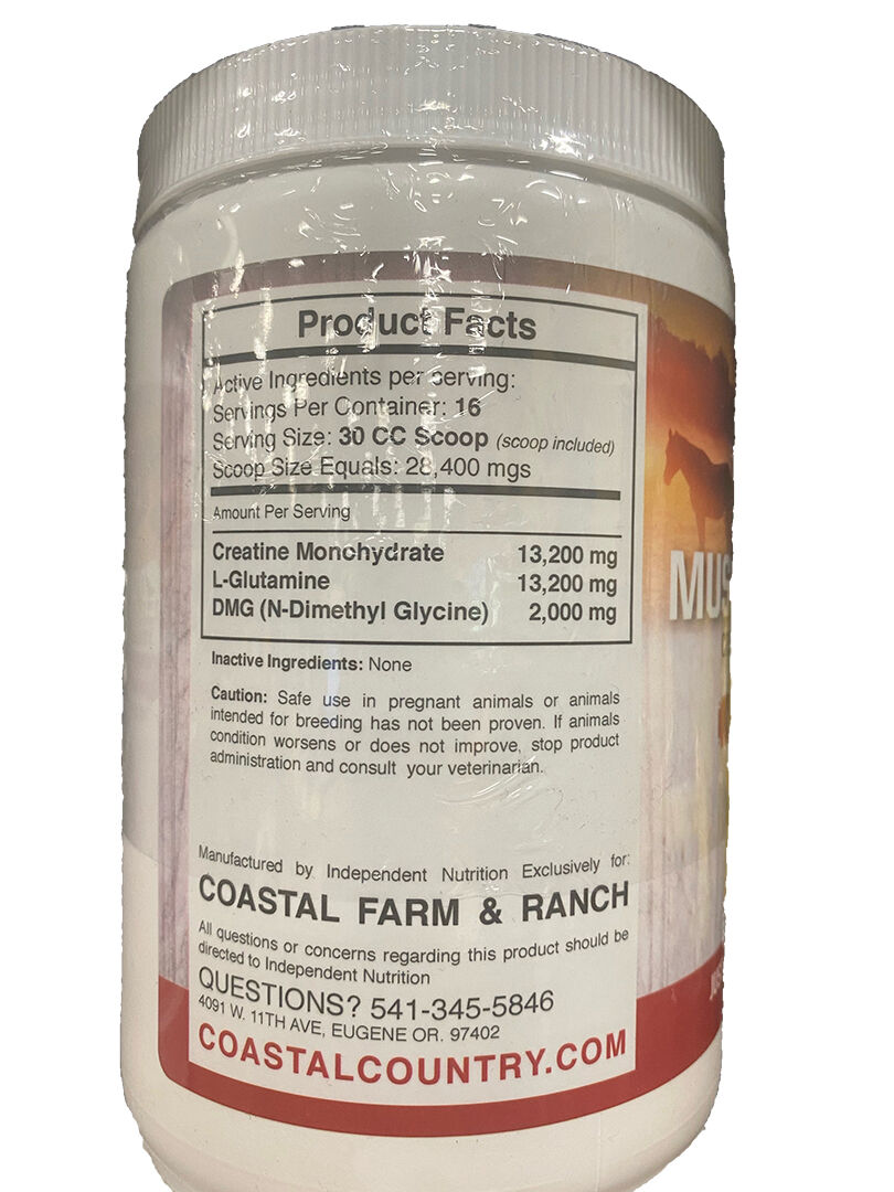 Muscle Recovery Equine Health Supplement, 1-Lb