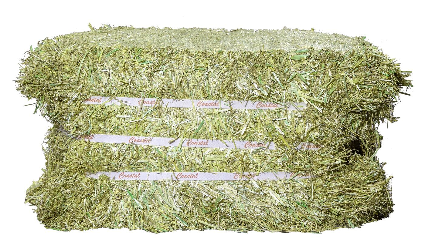 Coastal Compressed Alfalfa Hay Bale, 50-Lb