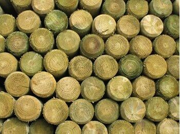3-In X 7-Ft Douglas Fir Pressure Treated Round Wood Fence Post