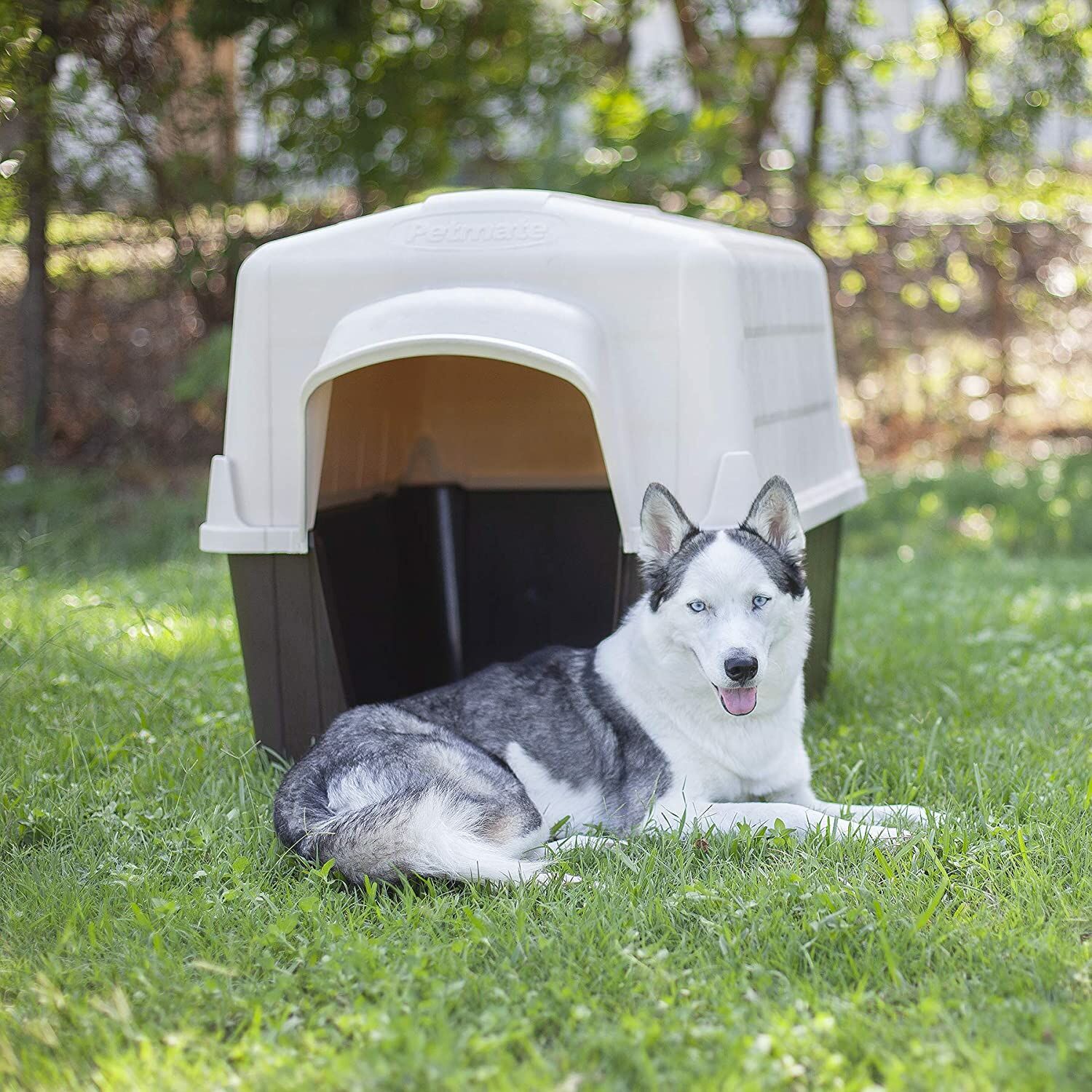 Aspen Pet® Petbarn® 3 Medium Dog House in Sand