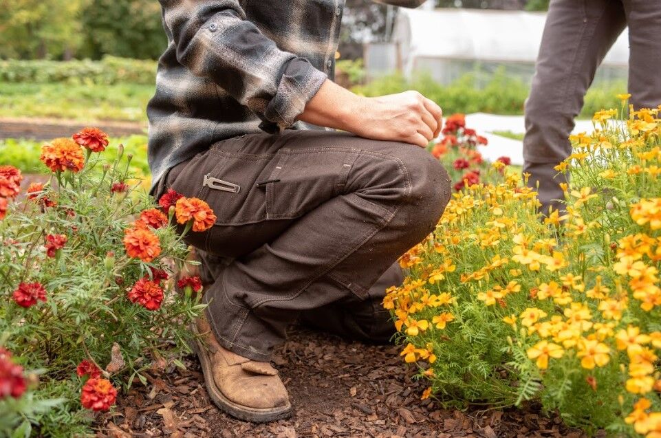 DAY CONSTRUCT STRETCH DUCK CANVAS PANT