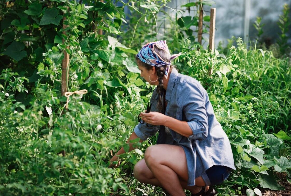 Women's Givens Work Shirt