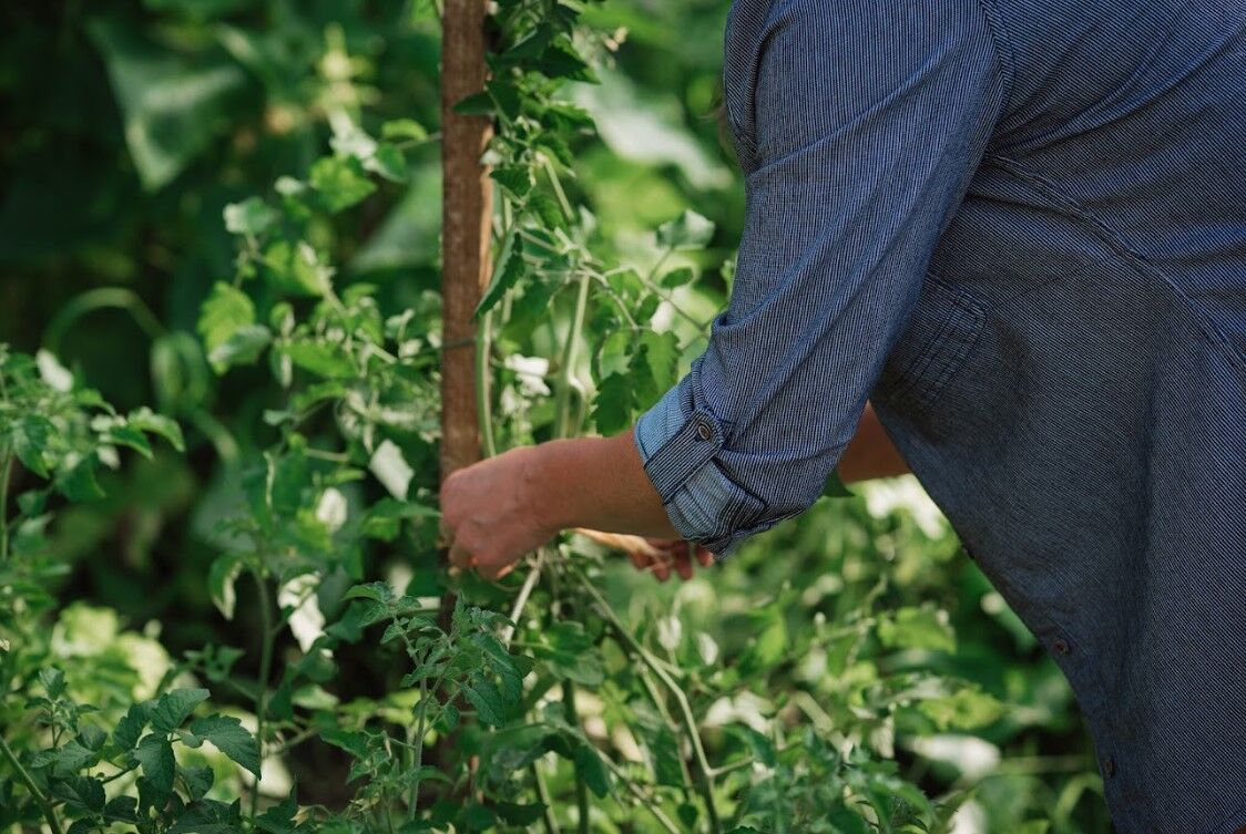 Women's Givens Work Shirt