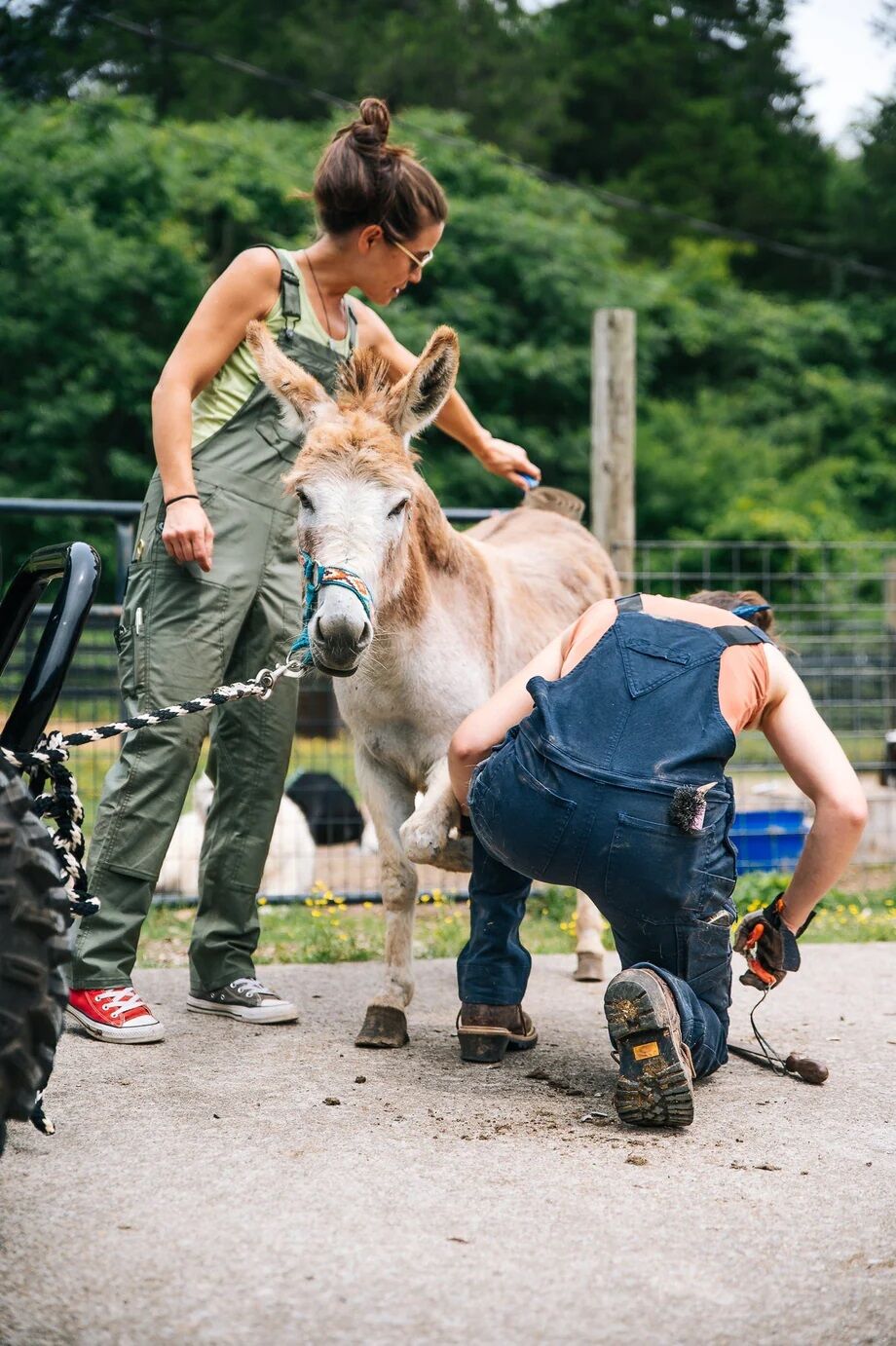 Women's Freshley Drop Seat Overalls in Navy Canvas