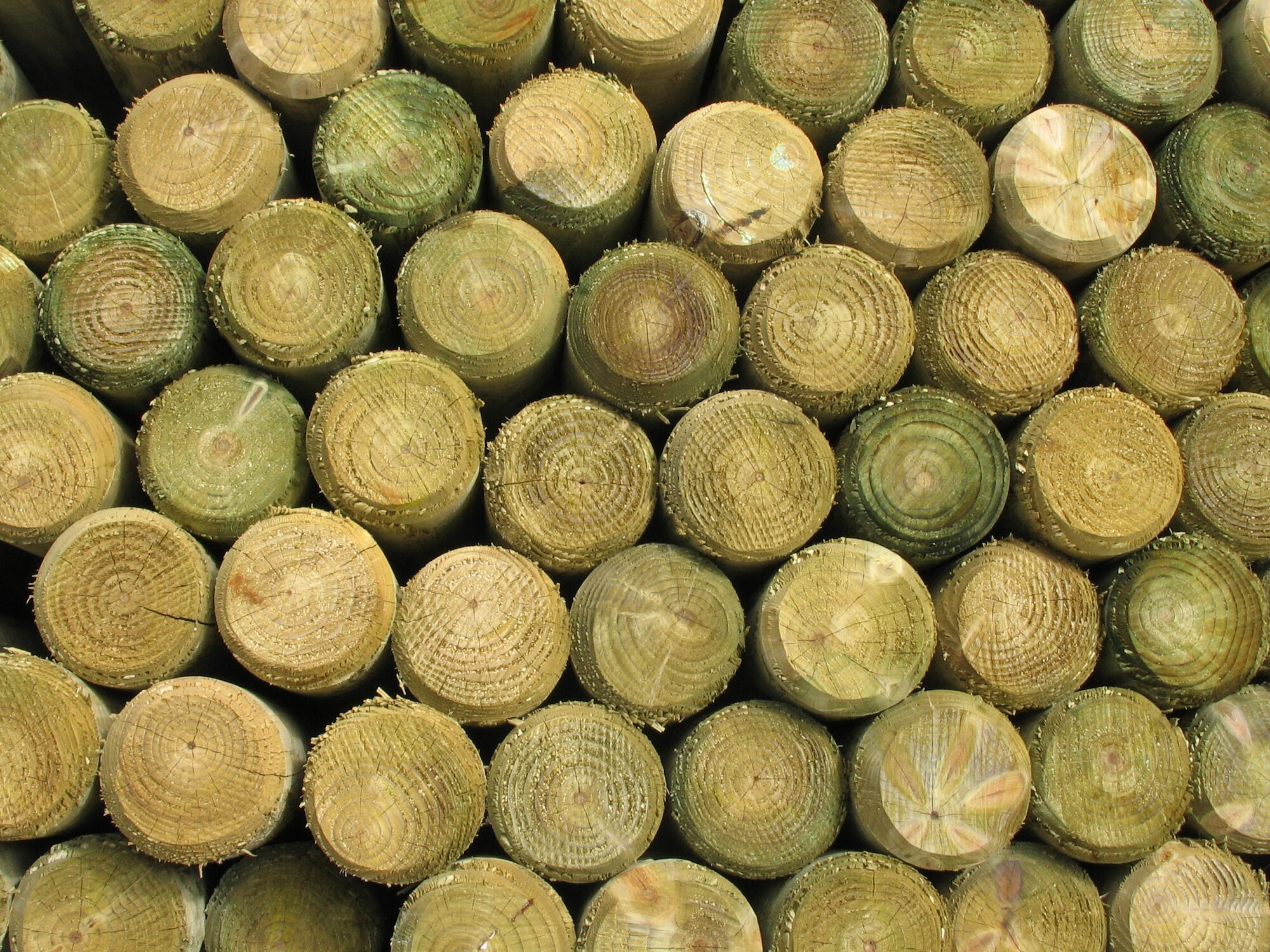 3-In x 8-Ft Pine Pressure Treated Round Wood Fence Post