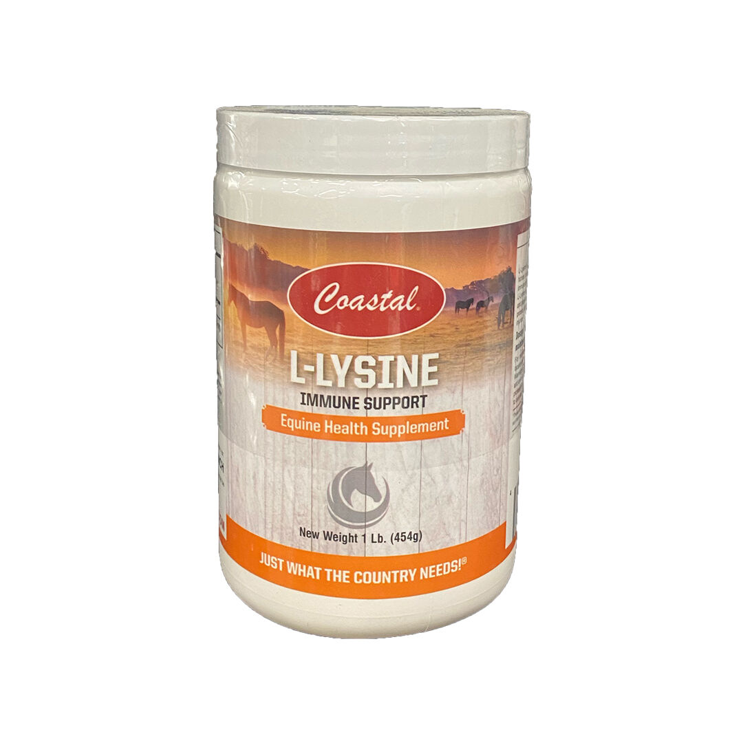 L-Lysine Equine Health Supplement, 1-Lb