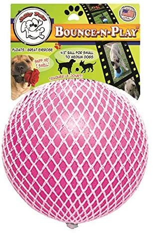 Bounce-n-Play Dog Toy in Pink, Small