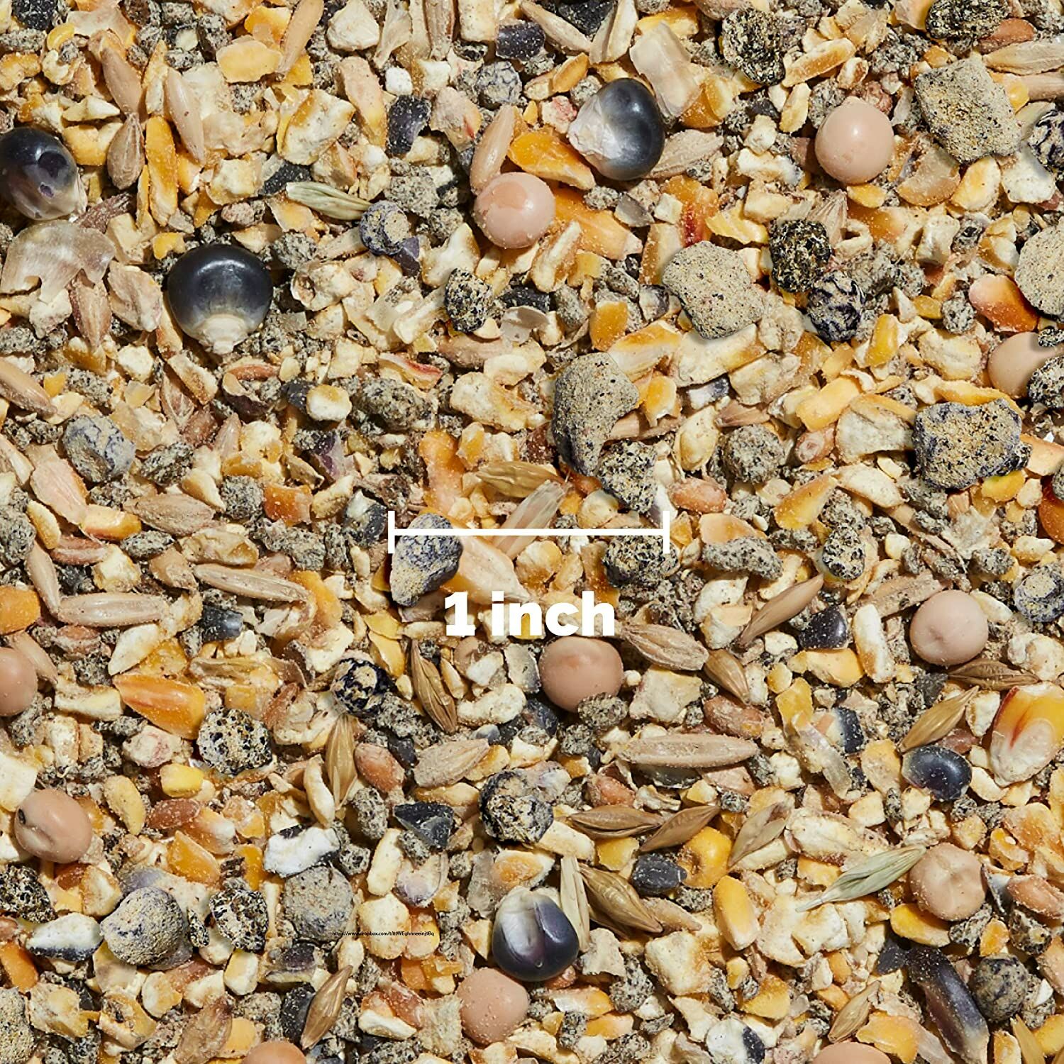 Organic Layer Mash, 25-Lb Bag