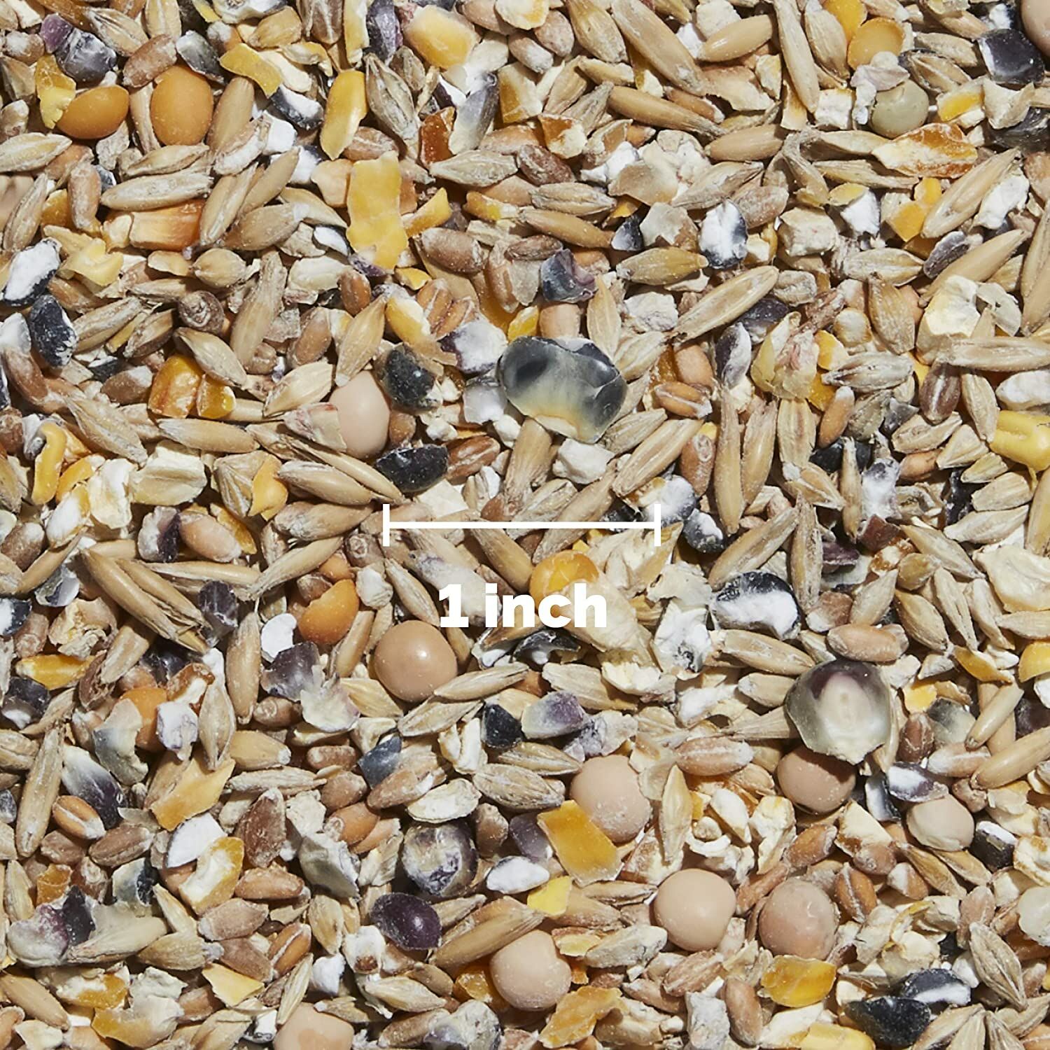 Organic Scratch Grains, 25-Lb