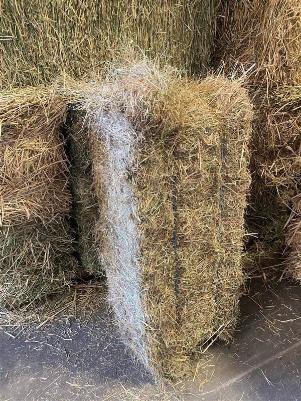 Local 2-Tie Grass Hay Bale, 85-Lb