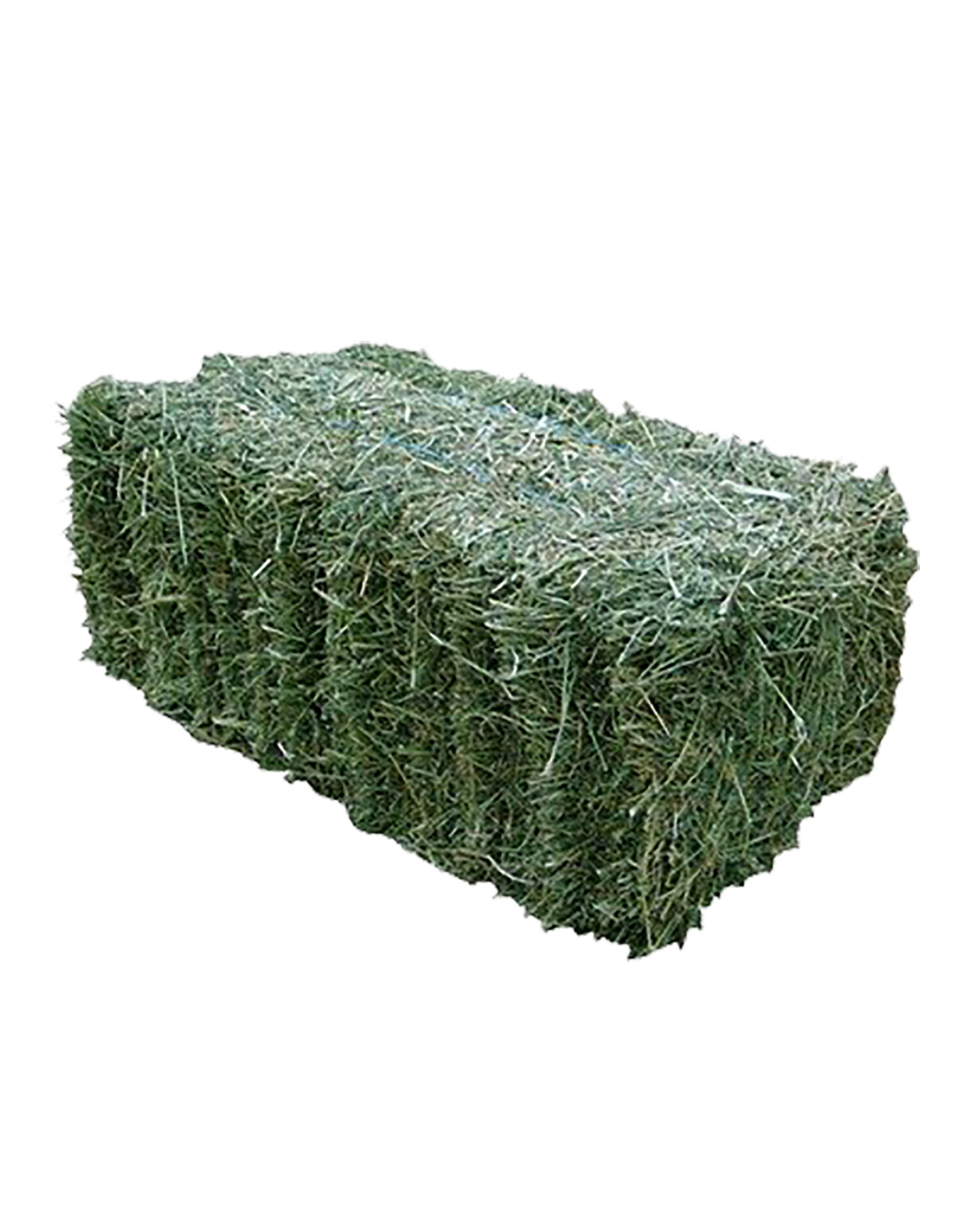 Local 2-Tie Orchard Grass Hay Bale, 85-Lb