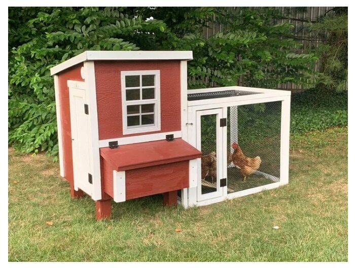 American Model Coop in a Box, 5 Chickens