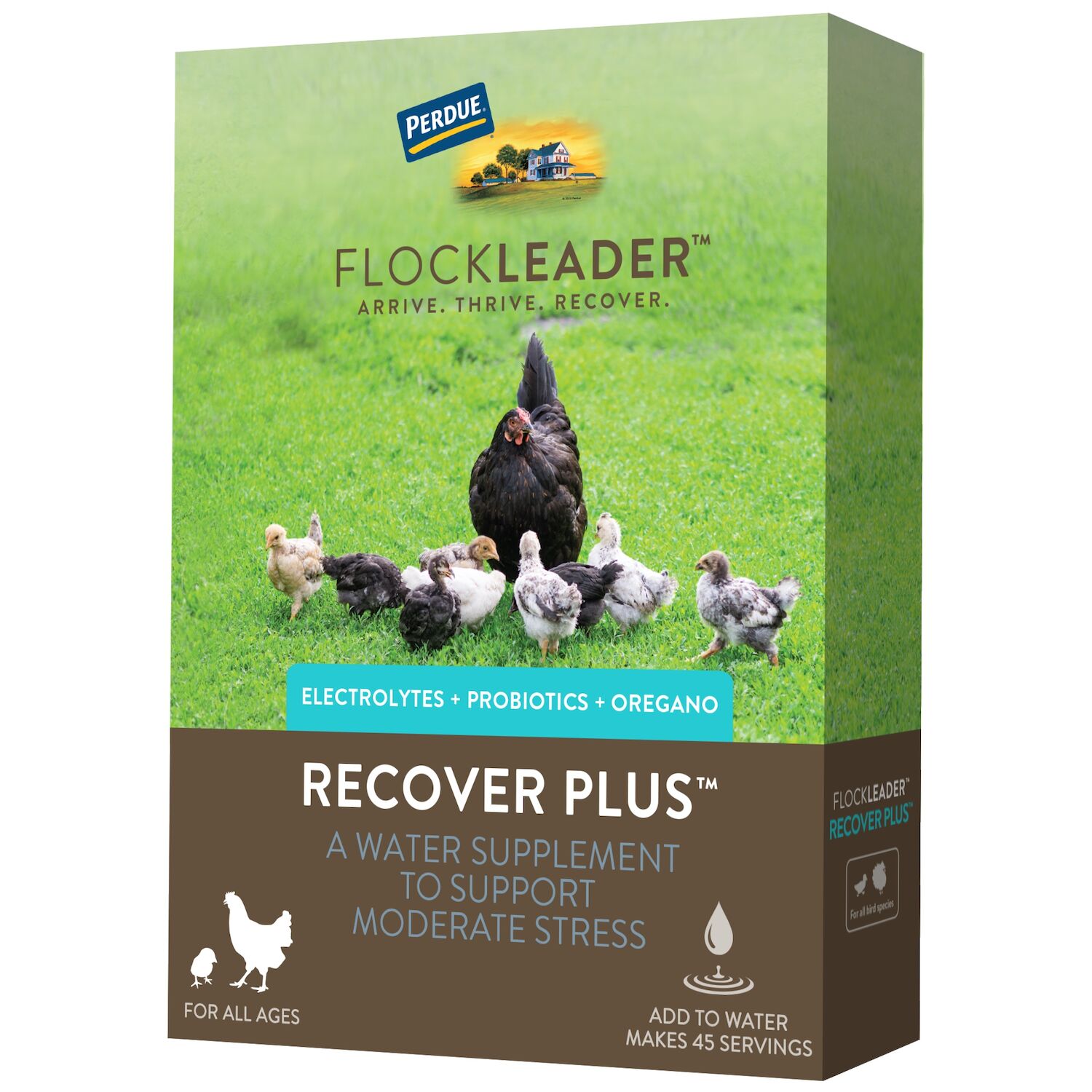 FlockLeader Recover Plus, 8-Oz