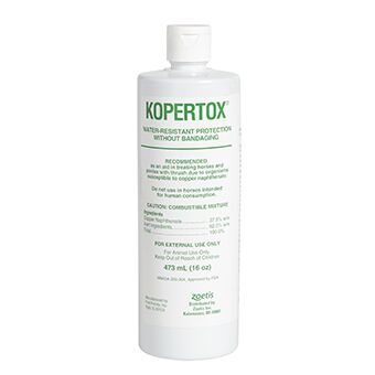 Kopertox® Copper Naphthenate, 16-Fl Oz