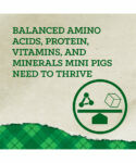 Nutrena Country Feeds Mini Pig Feed, 50-Lb
