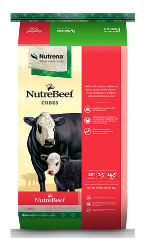 Nutrena NutreBeef 20% Cattle Cubes - 50 lb