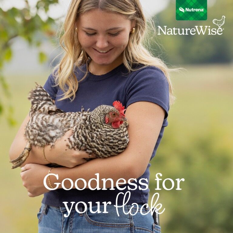Nutrena NatureWise Layer 17% Protein Crumble, 40-Lb