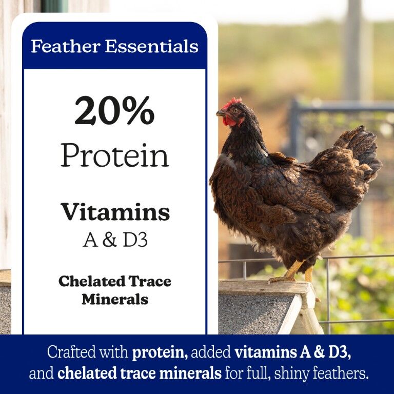 Nutrena NatureWise Feather Fixer 20% Protein Pellet, 40-Lb
