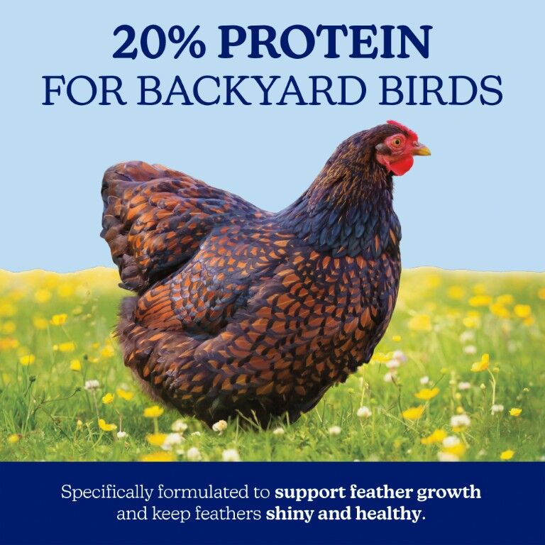 Nutrena NatureWise Feather Fixer 20% Protein Pellet, 40-Lb