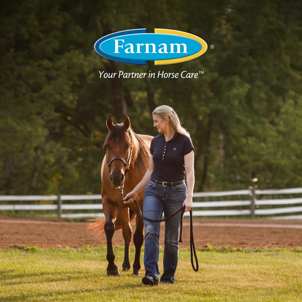 Farnam Weight Builder Equine Supplement, 7.5-Lb