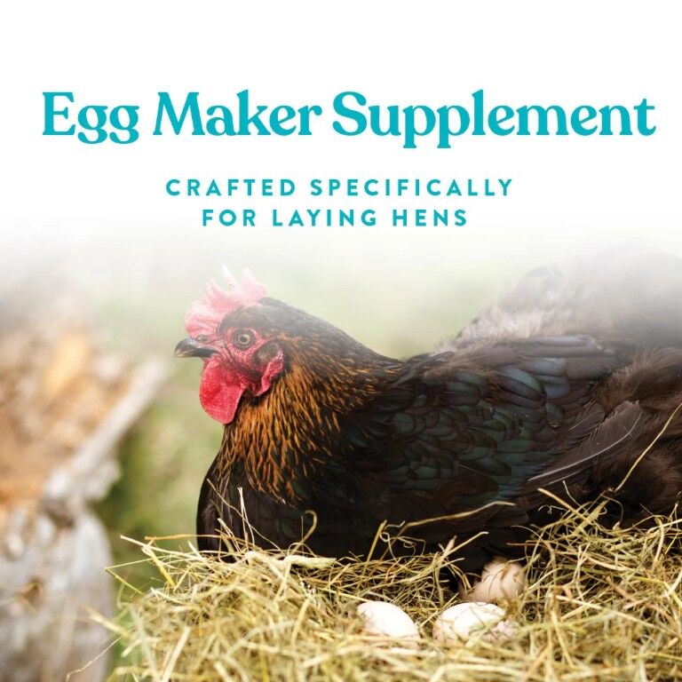 Manna Pro Omega Egg Maker Supplement, 5-Lb