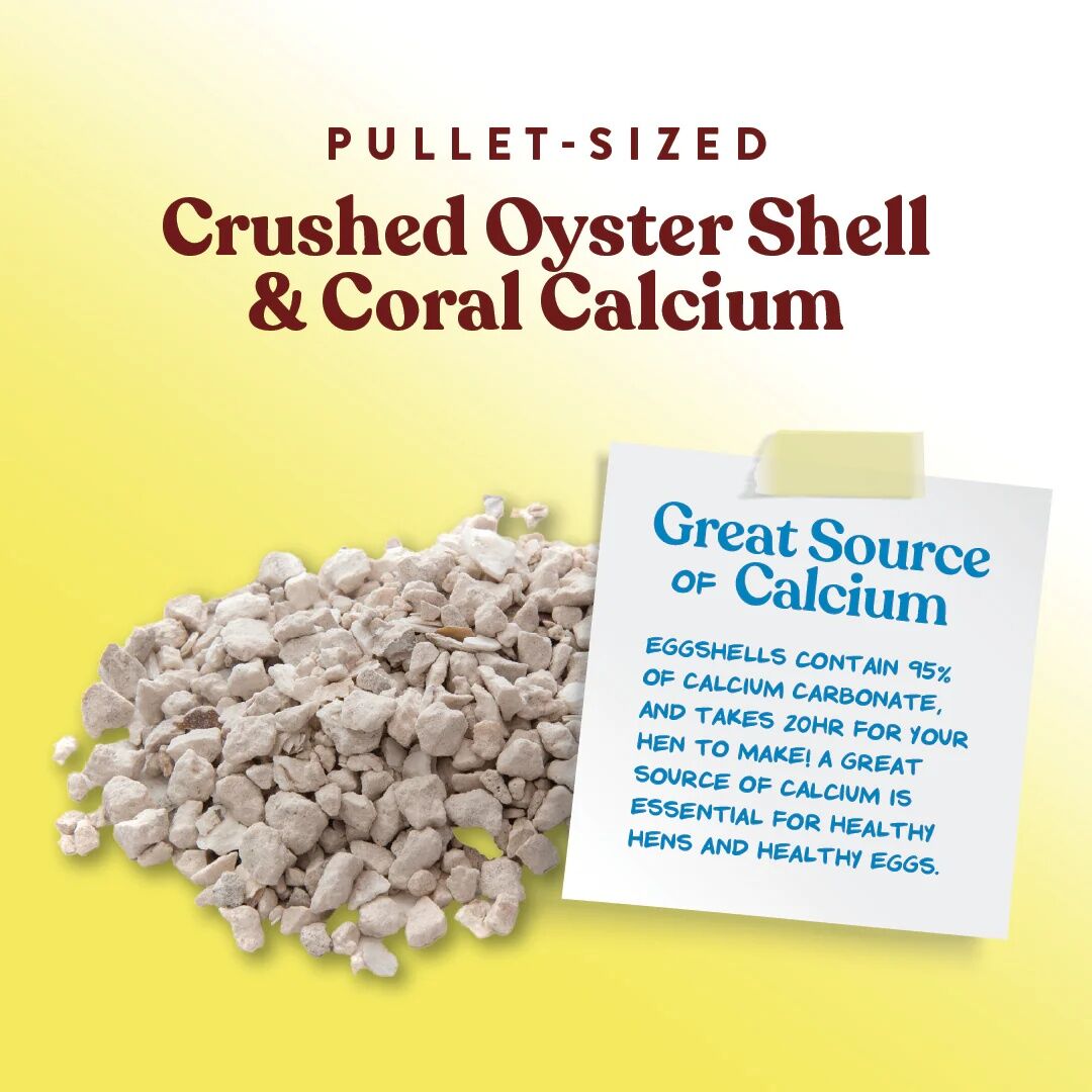 Manna Pro Oyster Shell Layer Supplement, 5-Lb