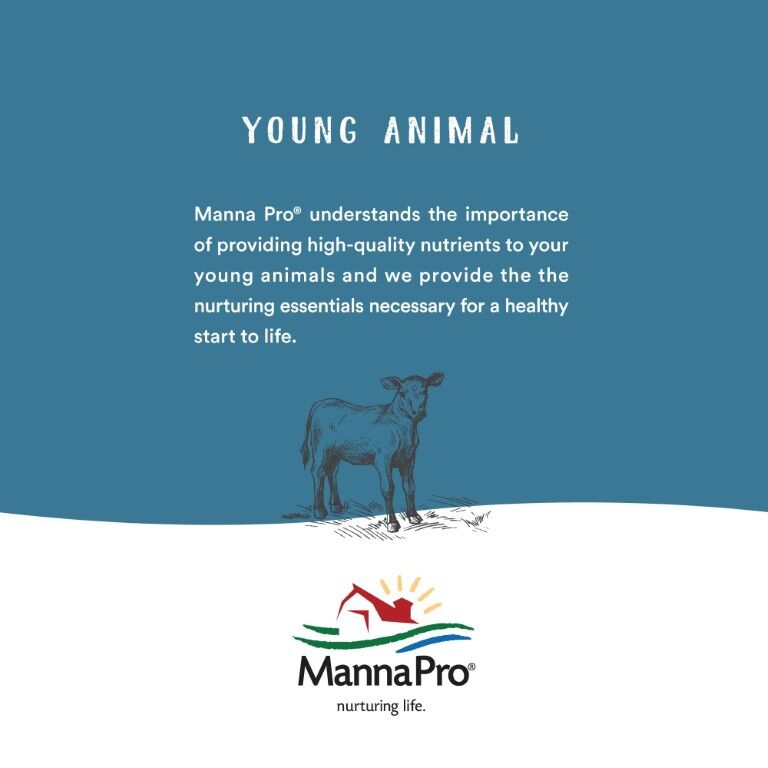 Manna Pro Lamb Milk Replacer With Probiotics, 3.5-Lb