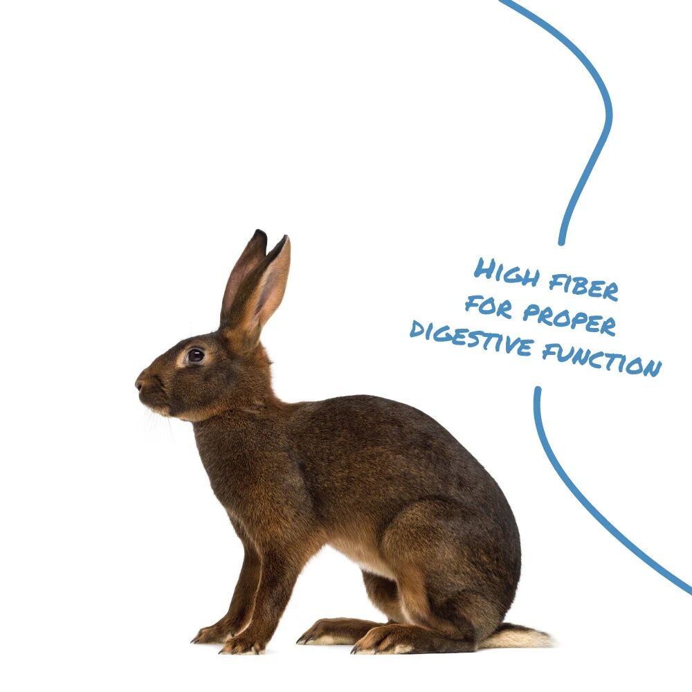 Manna Pro Select Series Pro Formula Rabbit Feed, 50-Lb