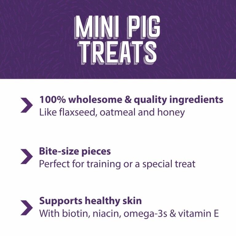 Mazuri Mini Pig Treats Oats & Honey, 6-Lb